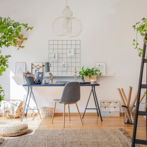 5 benefits of having plants in your home, building or office