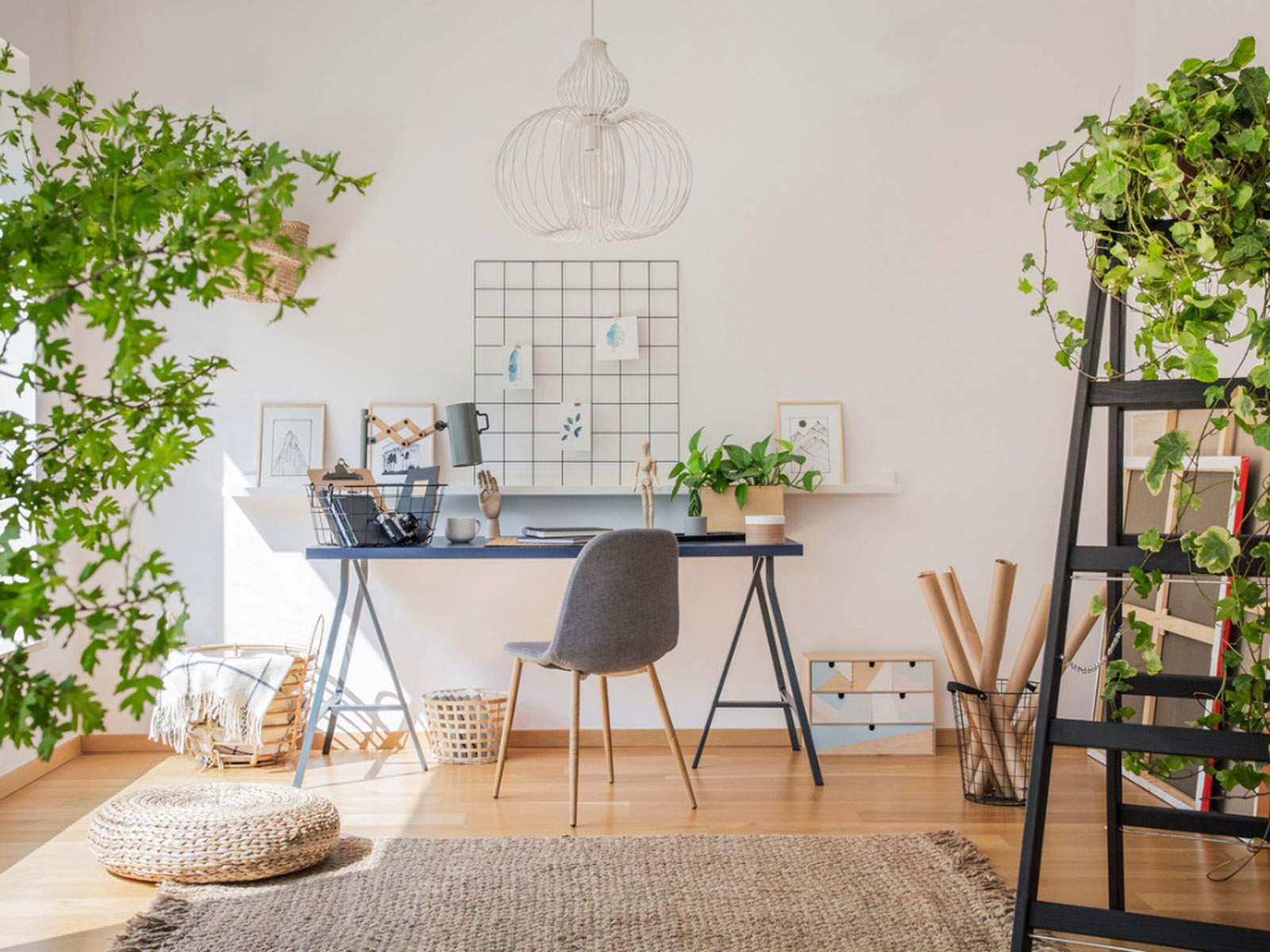 5 benefits of plants in your home, building or office